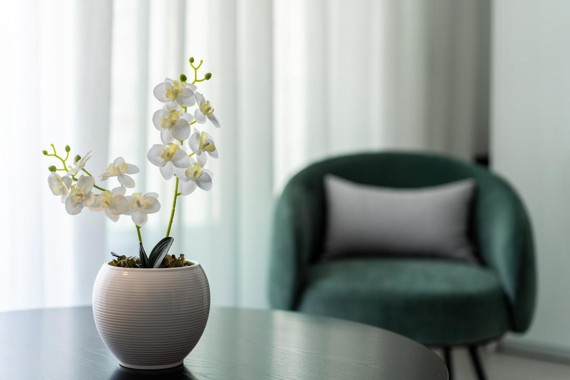 Althea Suites シティア 部屋 写真